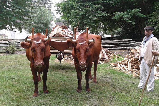 Tour image 8