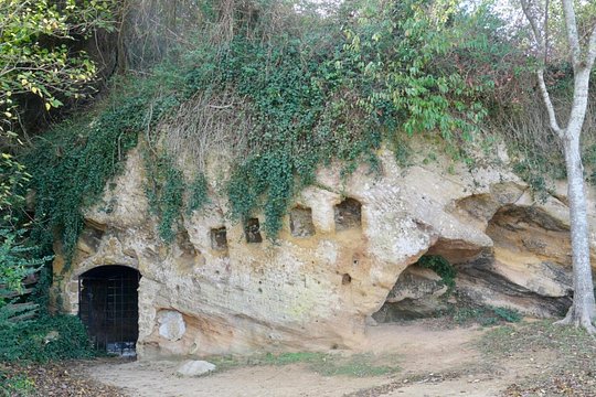Tour image 5